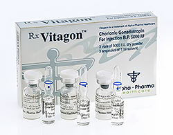 Vitagon (hCG - Human Chorionic Gonadotropin) 5000iu Alpha Pharma